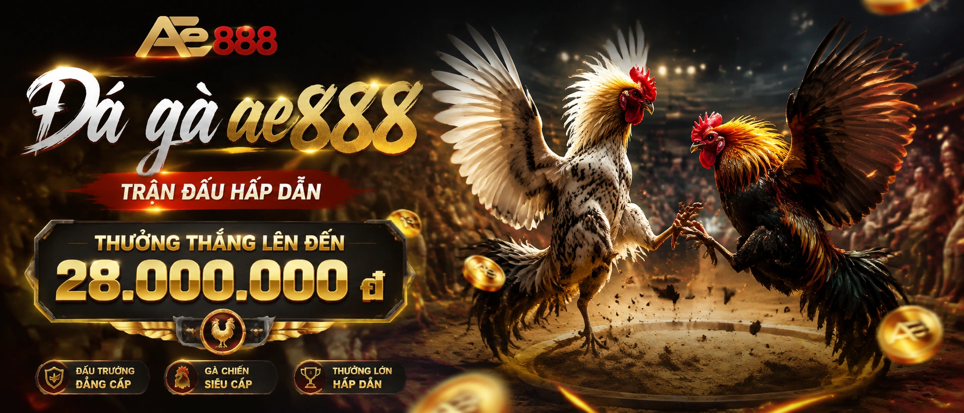 Đá Gà Hubet - hình ảnh trung tâm danh mục